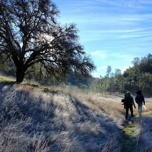 Meet your Posher, Grace-maya